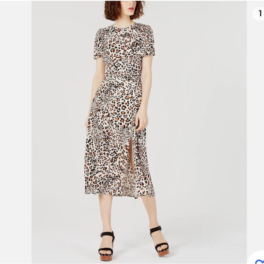 Leopard Print Dress with Sleeves
